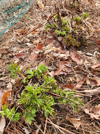 귀산촌님의 자유주제 · 사진전 작성글 사진