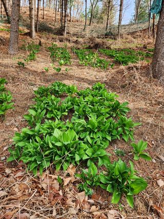 귀산촌님의 자유주제 · 사진전 작성글 사진