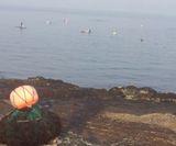 팜모닝 자유주제·사진전 게시글 이미지