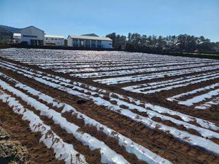 김태환님의 자유주제 · 사진전 작성글 사진