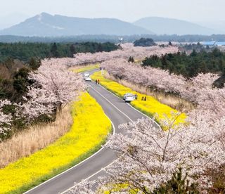 김태환님의 자유주제 · 사진전 작성글 사진