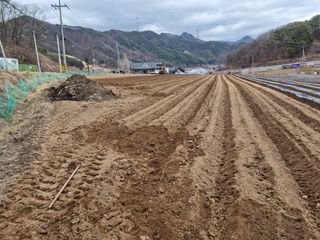 신현효님의 자유주제 · 자유게시판 작성글 사진