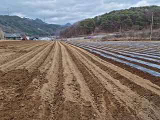신현효님의 자유주제 · 자유게시판 작성글 사진