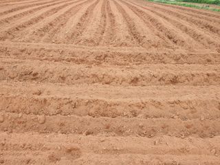 장준호님의 자유주제 · 사진전 작성글 사진