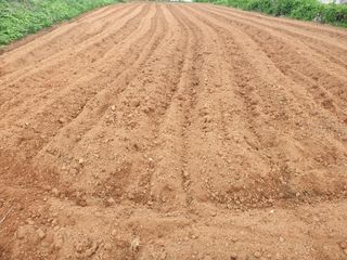 장준호님의 자유주제 · 사진전 작성글 사진