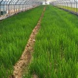 팜모닝 자유주제·자유게시판 게시글 이미지