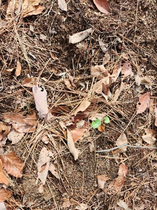 조영진 님의 자유주제 · 사진전 작성글 사진