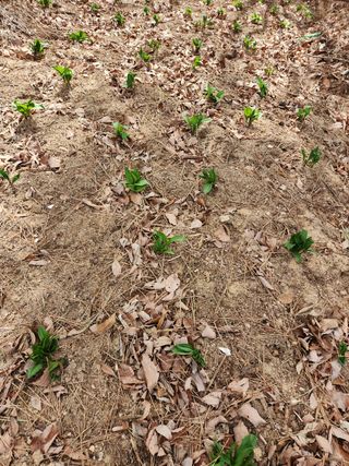조영진 님의 자유주제 · 사진전 작성글 사진