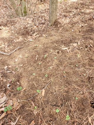 조영진 님의 자유주제 · 사진전 작성글 사진