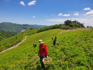 김봉래님의 자유주제 · 사진전 작성글 사진