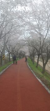 팜모닝 기타작물·자유게시판 게시글 이미지