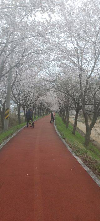 김대업님의 기타작물 · 자유게시판 작성글 사진