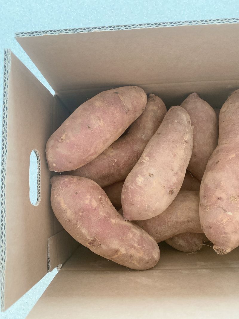 이호선님의 장터 판매 상품 [✔ 왕크니까 왕맛있는 왕사이즈 특가 ] 첨부 사진