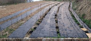 유한신님의 자유주제 · 자유게시판 작성글 사진