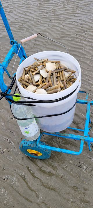 유한신님의 자유주제 · 자유게시판 작성글 사진