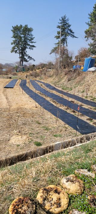 유한신님의 자유주제 · 자유게시판 작성글 사진