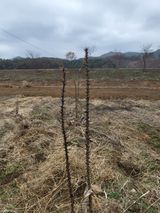 팜모닝 자유주제·자유게시판 게시글 이미지