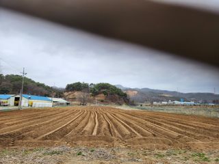 HYUN님의 기타작물 · 자유게시판 작성글 사진