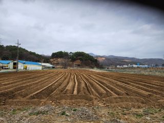 HYUN님의 기타작물 · 자유게시판 작성글 사진