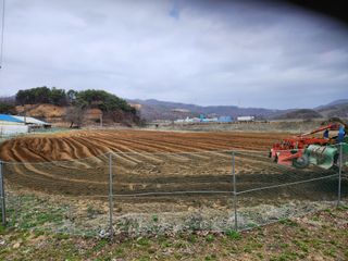 HYUN님의 기타작물 · 자유게시판 작성글 사진