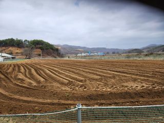 HYUN님의 기타작물 · 자유게시판 작성글 사진