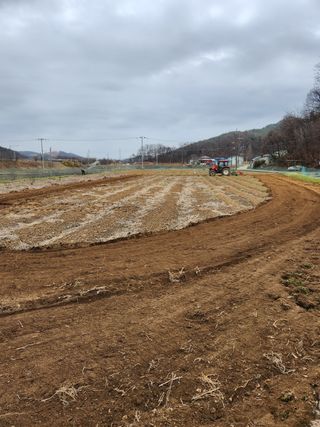 HYUN님의 기타작물 · 자유게시판 작성글 사진