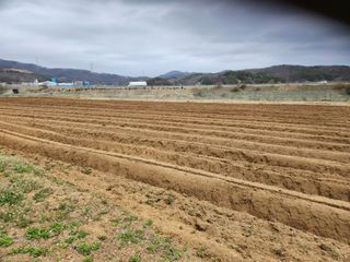 HYUN님의 기타작물 · 자유게시판 작성글 사진