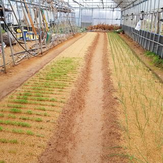 여울목님의 기타작물 · 자유게시판 작성글 사진