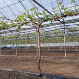 팜모닝 자유주제·사진전 게시글 이미지