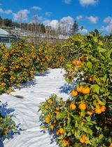 팜모닝 자유주제·사진전 게시글 이미지