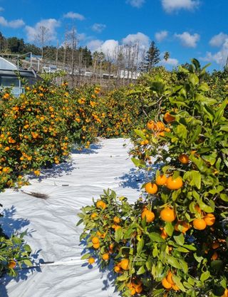 원태현님의 자유주제 · 사진전 작성글 사진