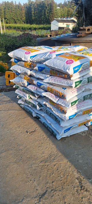 원태현님의 자유주제 · 사진전 작성글 사진