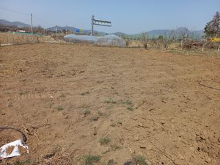 상추님의 자유주제 · 사진전 작성글 사진