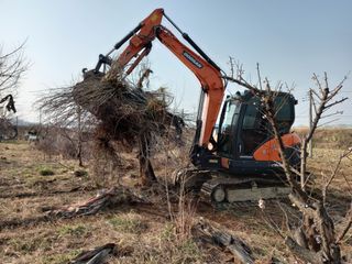 상추님의 자유주제 · 사진전 작성글 사진