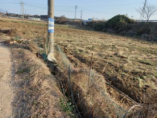 상추님의 자유주제 · 사진전 작성글 사진