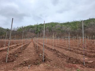 오토산농장님의 자유주제 · 사진전 작성글 사진