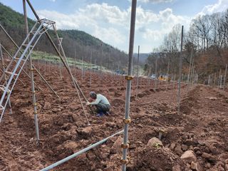 오토산농장님의 자유주제 · 사진전 작성글 사진
