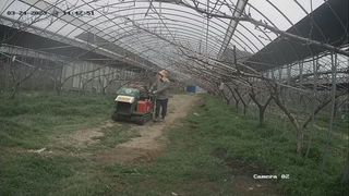 허부홍님의 복숭아 · 자유게시판 작성글 사진