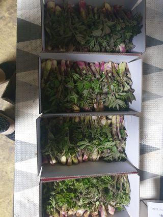 자연인이좋아요님의 작성글 사진