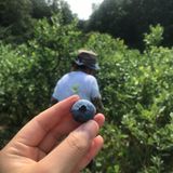 팜모닝 자유주제·사진전 게시글 이미지