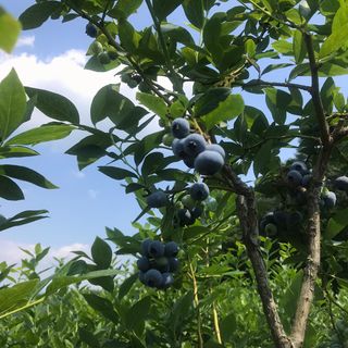 모두팜님의 자유주제 · 사진전 작성글 사진