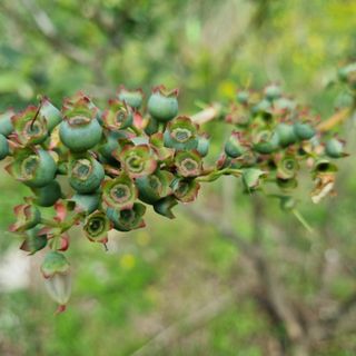 모두팜님의 자유주제 · 사진전 작성글 사진