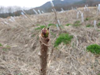 노오길님의 자유주제 · 사진전 작성글 사진