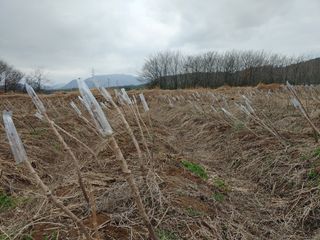 노오길님의 자유주제 · 사진전 작성글 사진