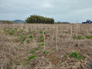 노오길님의 자유주제 · 사진전 작성글 사진