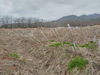 노오길님의 자유주제 · 사진전 작성글 사진