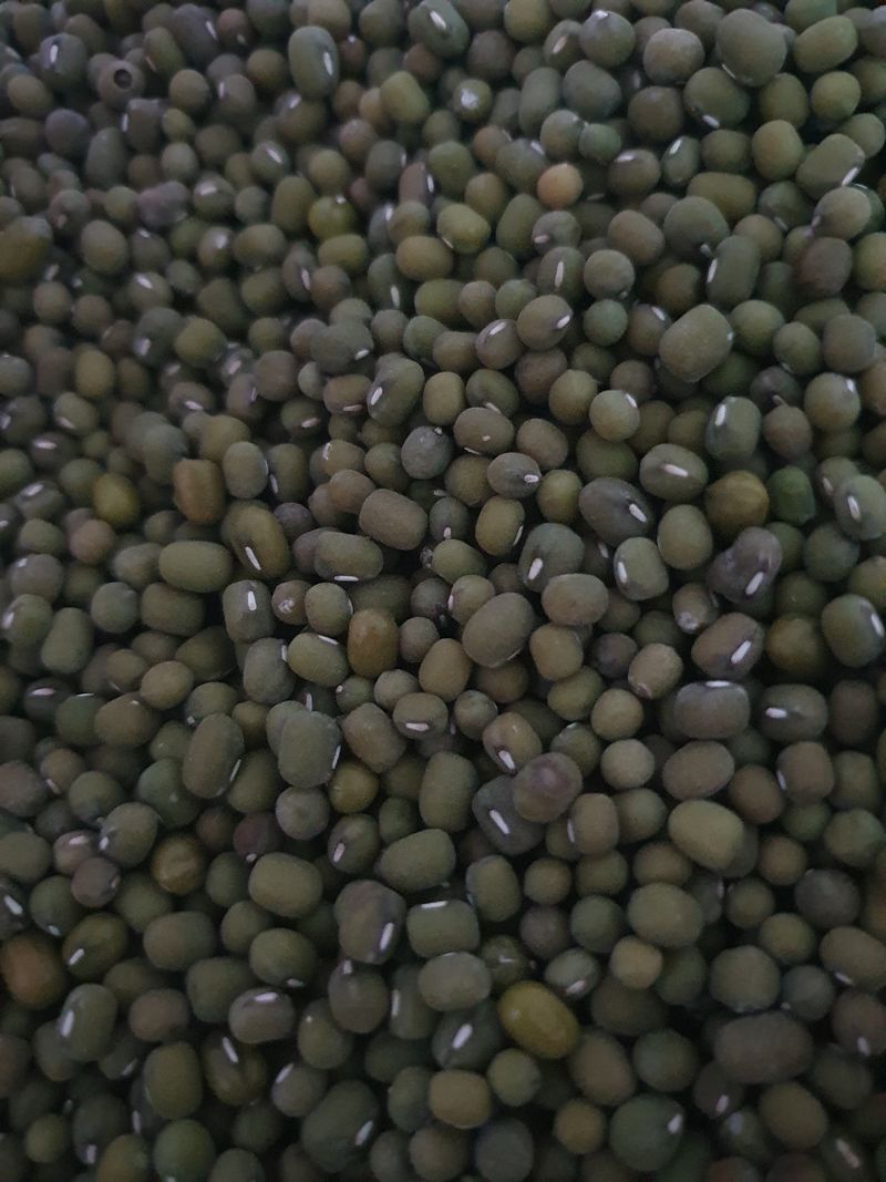 장터 상품 [녹두4kg] 썸네일