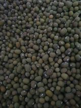 팜모닝 · 게시글 이미지