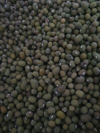 정석기님의 작성글 사진