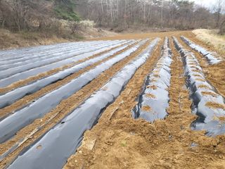 농사초보유경이님의 자유주제 · 사진전 작성글 사진